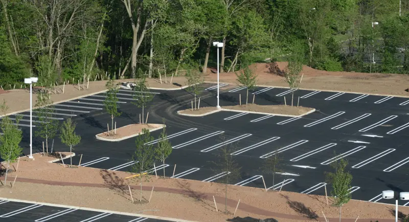 Vacant parking spaces and greenery